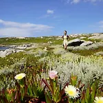 Parque de vacaciones Zum Stoerrischen Esel 2*