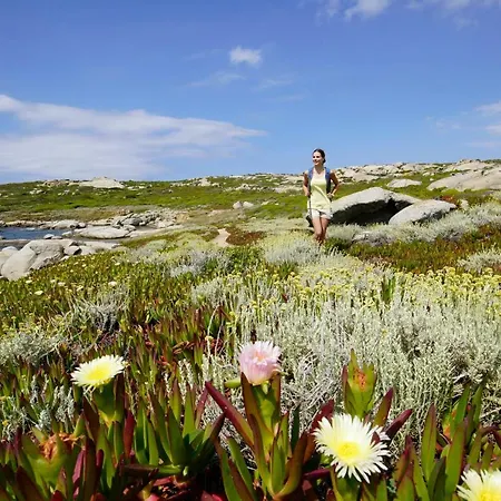 ホリデーパーク Zum Stoerrischen Esel 2*