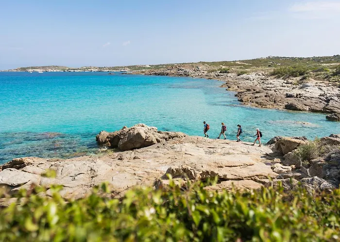 Parque de vacaciones Zum Stoerrischen Esel 2*