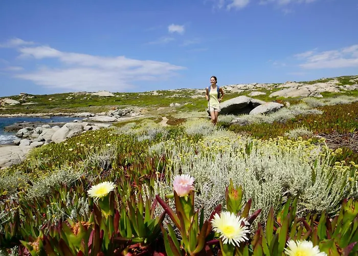 Parque de vacaciones Zum Stoerrischen Esel 2*
