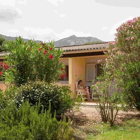 Zum Stoerrischen Esel Holiday park Calvi (Corsica)