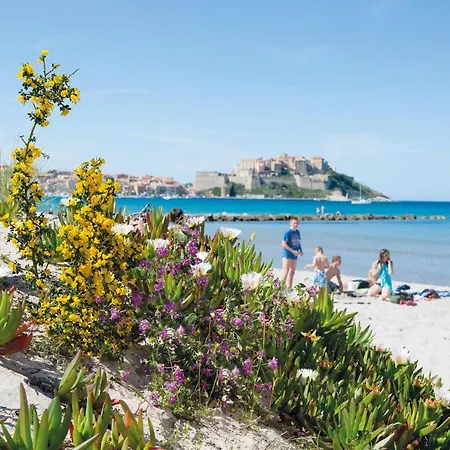 Semesterpark Zum Stoerrischen Esel Calvi (Corsica)