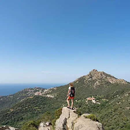 Zum Stoerrischen Esel Calvi (Corsica)