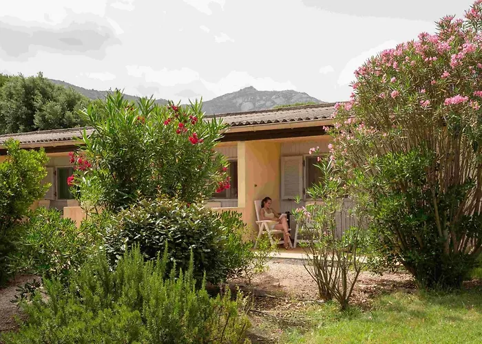 Zum Stoerrischen Esel Holiday park Calvi (Corsica)