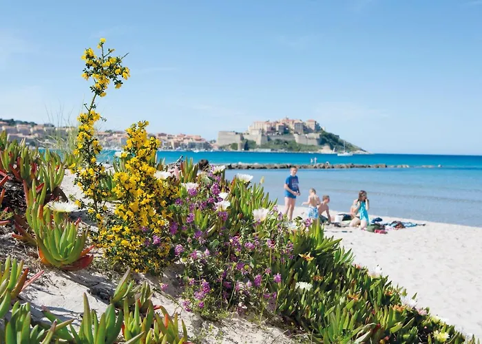 Tatil parkı Zum Stoerrischen Esel Calvi (Corsica)